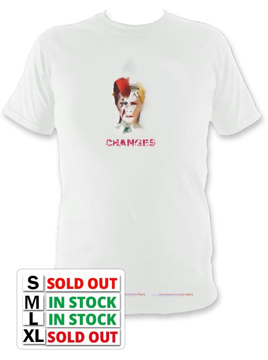 David Bowie Changes V2 T Shirt £26.99